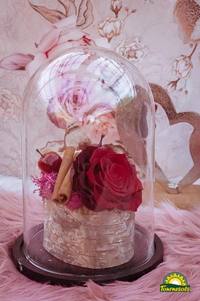 Rose éternelle rouge sous cloche - rose dans une écorce naturelle